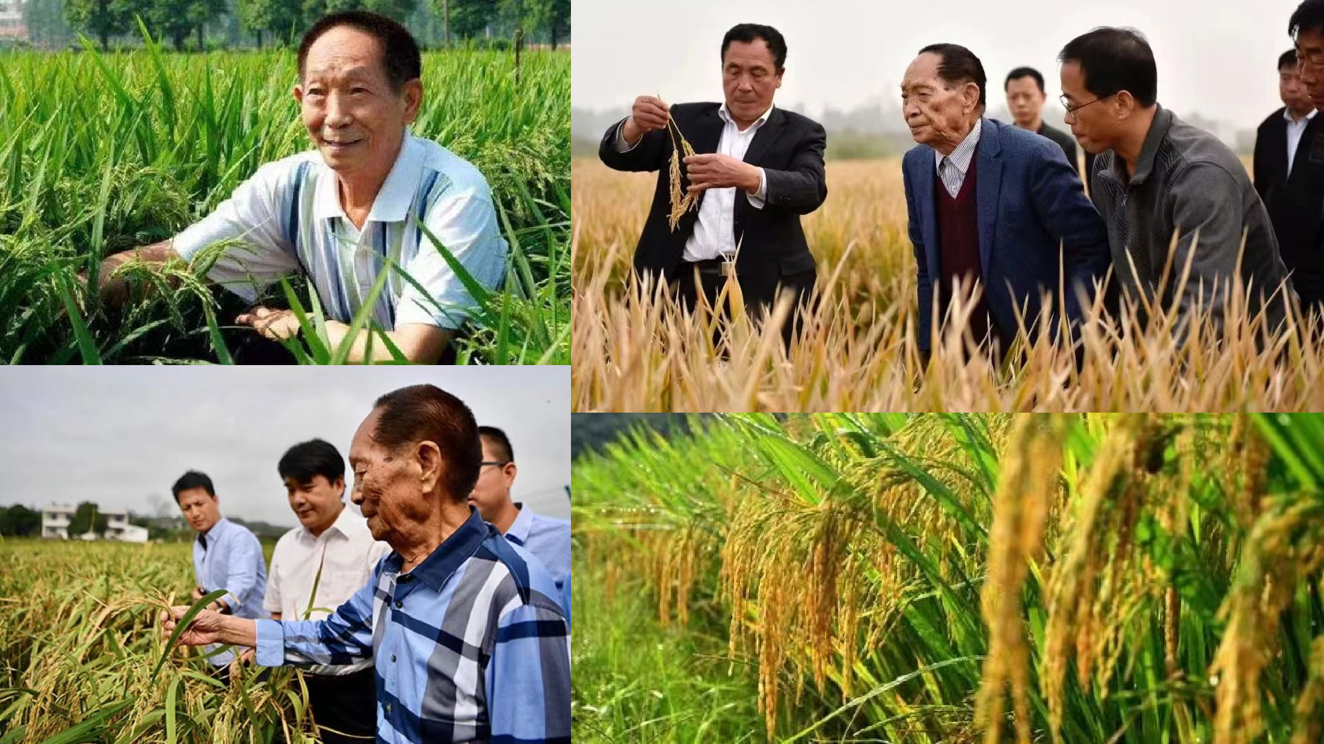 网页案例-02.jpg